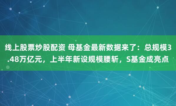 线上股票炒股配资 母基金最新数据来了：总规模3.48万亿元，上半年新设规模腰斩，S基金成亮点